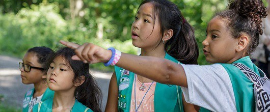 Girl Scout Badges Girl Scout Badges